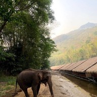 เรือนแพ ริเวอร์แคว จังเกิลราฟท์
