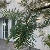 U หมูกระทะ by.Shabu U -ยูหมูกระทะ-