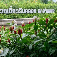 ก๋วยเตี๋ยวริมคลอง ณ อำแพง