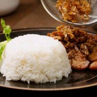 Sahara exotic animal club 1