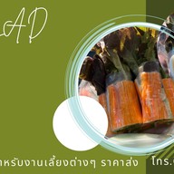 ดูดีสลัด ต้นเปา สันกำแพง