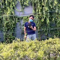 Wandee House In The Garden