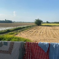 The 99 Cottage( บ้านทุ่งบางปลาม้า)