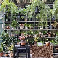 Wandee House In The Garden