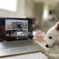 The 99 Cottage( บ้านทุ่งบางปลาม้า)