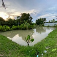 Wandee House In The Garden