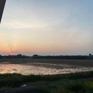 The 99 Cottage( บ้านทุ่งบางปลาม้า)