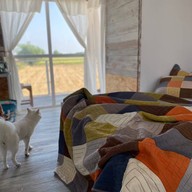 The 99 Cottage( บ้านทุ่งบางปลาม้า)