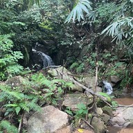 บ้านลิไข่