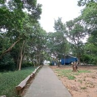 เกาะเสม็ด