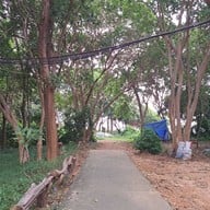 เกาะเสม็ด