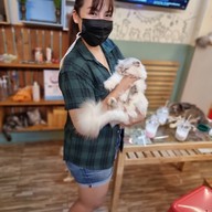 Cat Cafe Healthy Juice ม.รังสิต