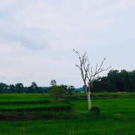 นาตาทา