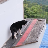 สกาดหลงวิว โฮมสเตย์