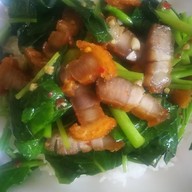 เมนูของร้าน ใต้หล้าเลิศรส(กะเพรา/อาหารตามสั่ง/ยำ/รับทำข้าวกล่อง/เครื่องดื่ม/ชาเย็น)