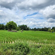 เกาะกลาง กระบี่