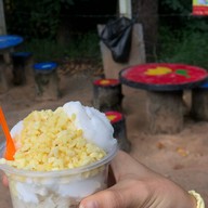 ป้าแดง ไอติมกะทิสด