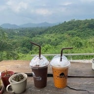 ต้นไม้ใบหญ้า