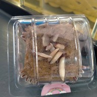 กาแฟ ปันปาย&ปังปิ้ง