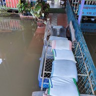 แพอาหารรุ่ง ชัยนาท