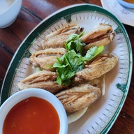 แพอาหารรุ่ง ชัยนาท