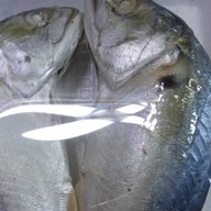 ร้านปลาทูนึ่ง ป้าชาติ มีสาขาเดียว ไม่มีหน้าร้าน ขายที่บ้าน