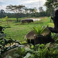 บรรยากาศ Tonsai Cafe