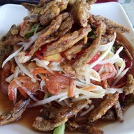 ตำป่า ชานัว