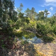 บ่อน้ำร้อนเขาพลู