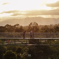 The Tree Cafe เดอะทรีคาเฟ่