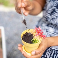 เมนูของร้าน The Tree Cafe เดอะทรีคาเฟ่