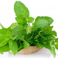 ตำข่อยแน