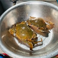 สลักคอกซีฟู๊ด