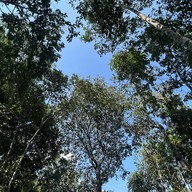 บ่อน้ำร้อนเขาพลู