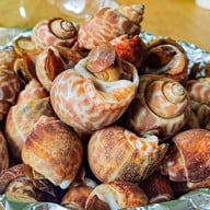 เมนู ร้านเผาหัว กุ้งเผา ทะเลเผา ข้าวกุ้งแกะ พหล 52