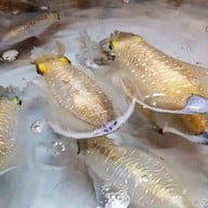 เมนูของร้าน ร้านเผาหัว กุ้งเผา ทะเลเผา ข้าวกุ้งแกะ พหล 52