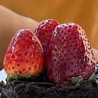 ดัมมะชาติ Eatery and Coffee by Jaokao Vol.3