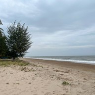 ครัวชมวาฬ