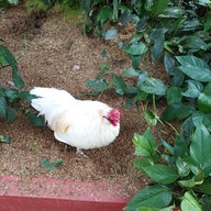 บรรยากาศ Secret Space