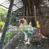 บรรยากาศ Secret Space