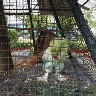 บรรยากาศ Secret Space