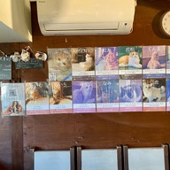 Cat Cafe Yoshineko Fukuoka
