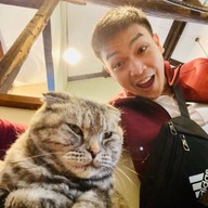 Cat Cafe Yoshineko Fukuoka