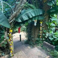 สวนทูนอิน