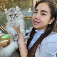 Catera Cat Cafe -