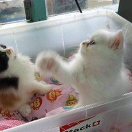 ก๋วยเตี๋ยวลุงหล้า ท่าเดื่อ