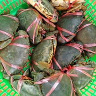 สมิหลาวิว