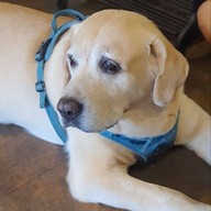 🏡 บ้านมันนี่ : กาแฟ☕️ ปากช่อง