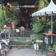 🏡 บ้านมันนี่ : กาแฟ☕️ ปากช่อง