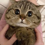 น้องเบียร์ศูนย์รวมอาหารอีสาน